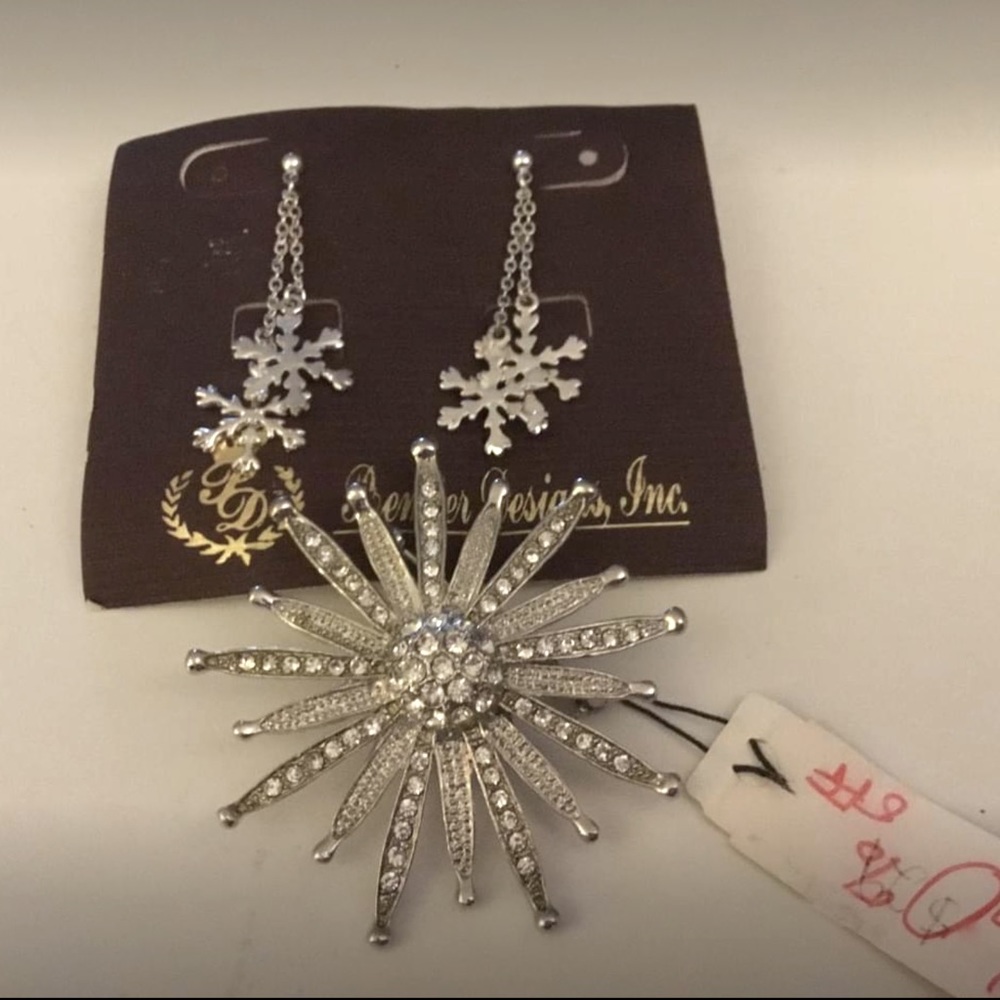 Premier Designs Pin & Earrings